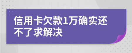 信用卡欠款1万确实还不了求解决