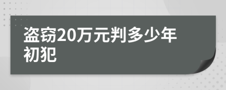 盗窃20万元判多少年初犯