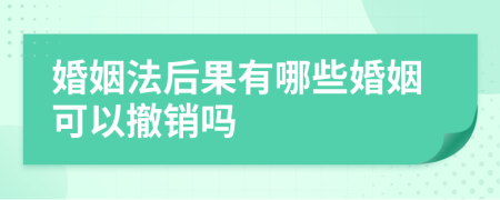 婚姻法后果有哪些婚姻可以撤销吗