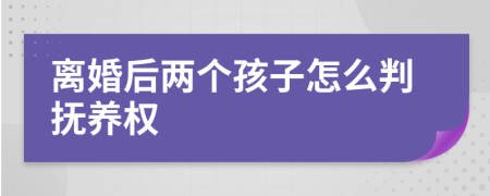 离婚后两个孩子怎么判抚养权
