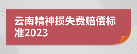 云南精神损失费赔偿标准2023