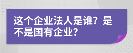 这个企业法人是谁？是不是国有企业？