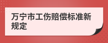 万宁市工伤赔偿标准新规定