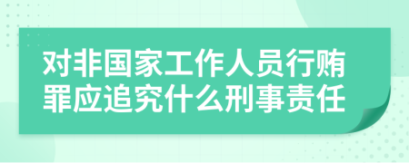 对非国家工作人员行贿罪应追究什么刑事责任