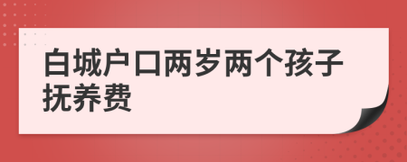 白城户口两岁两个孩子抚养费