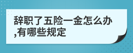 辞职了五险一金怎么办,有哪些规定