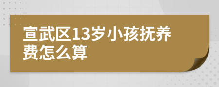 宣武区13岁小孩抚养费怎么算