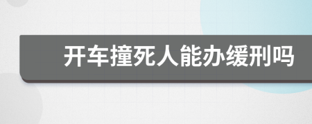 开车撞死人能办缓刑吗