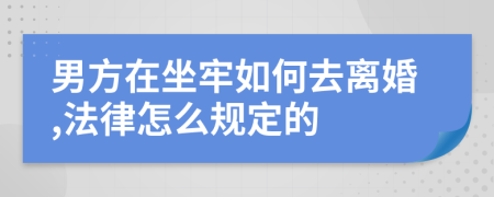 男方在坐牢如何去离婚,法律怎么规定的