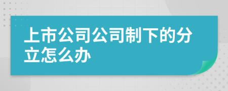 上市公司公司制下的分立怎么办