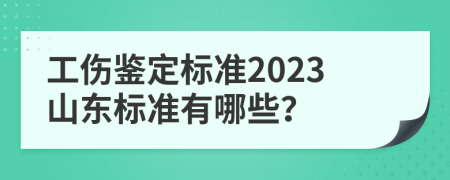 工伤鉴定标准2023山东标准有哪些？