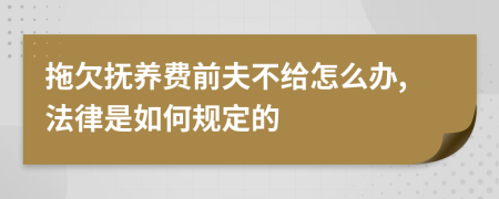 拖欠抚养费前夫不给怎么办,法律是如何规定的