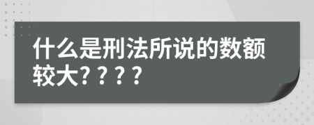 什么是刑法所说的数额较大? ? ? ?