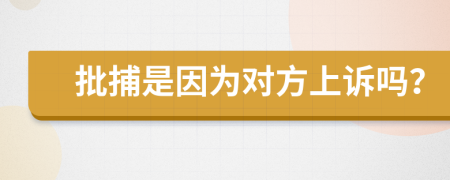 批捕是因为对方上诉吗？