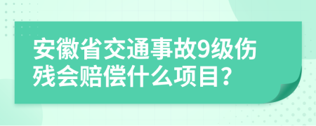 安徽省交通事故9级伤残会赔偿什么项目？