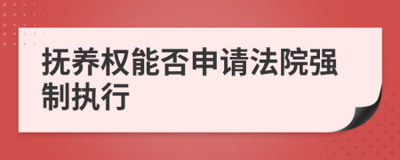抚养权能否申请法院强制执行