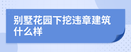 别墅花园下挖违章建筑什么样