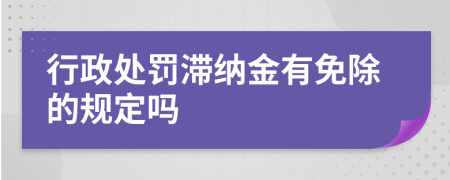 行政处罚滞纳金有免除的规定吗