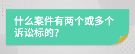 什么案件有两个或多个诉讼标的？