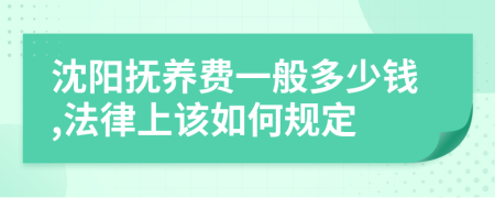 沈阳抚养费一般多少钱,法律上该如何规定