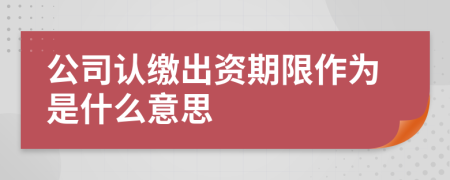 公司认缴出资期限作为是什么意思