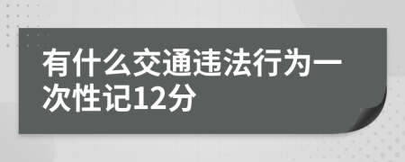 有什么交通违法行为一次性记12分