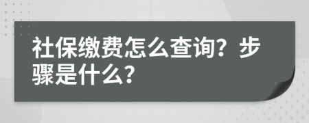 社保缴费怎么查询？步骤是什么？