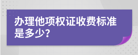 办理他项权证收费标准是多少？