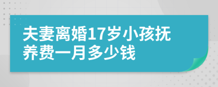 夫妻离婚17岁小孩抚养费一月多少钱