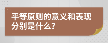 平等原则的意义和表现分别是什么？