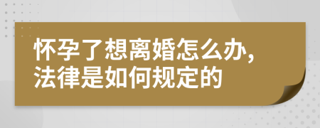 怀孕了想离婚怎么办,法律是如何规定的