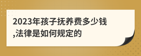 2023年孩子抚养费多少钱,法律是如何规定的