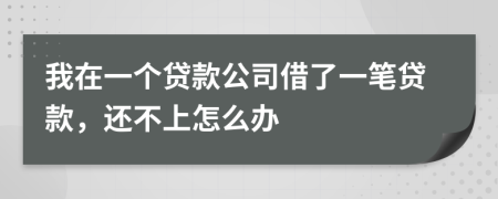 我在一个贷款公司借了一笔贷款，还不上怎么办