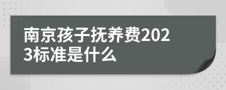 南京孩子抚养费2023标准是什么