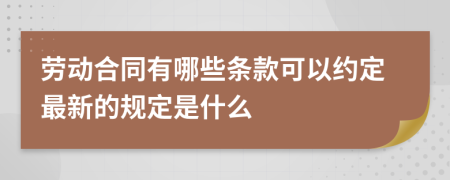 劳动合同有哪些条款可以约定最新的规定是什么