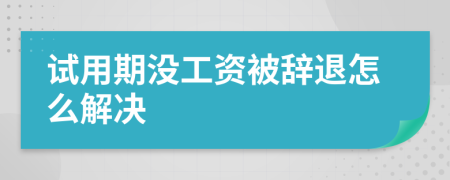 试用期没工资被辞退怎么解决