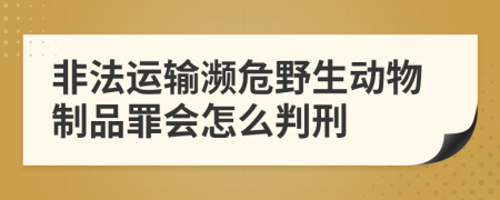 非法运输濒危野生动物制品罪会怎么判刑