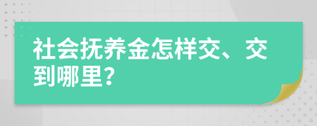 社会抚养金怎样交、交到哪里？