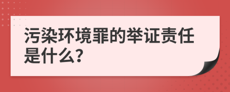 污染环境罪的举证责任是什么？