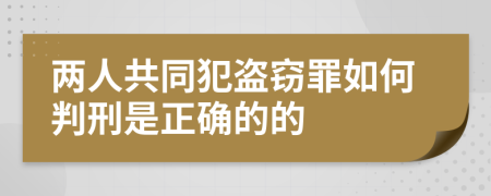 两人共同犯盗窃罪如何判刑是正确的的