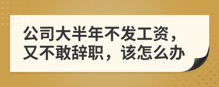 公司大半年不发工资，又不敢辞职，该怎么办