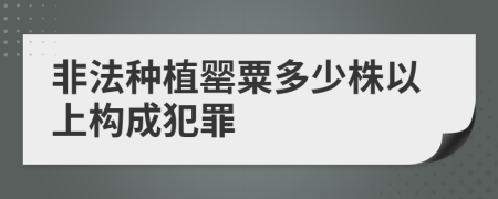 非法种植罂粟多少株以上构成犯罪