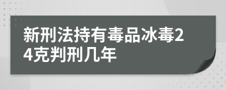 新刑法持有毒品冰毒24克判刑几年