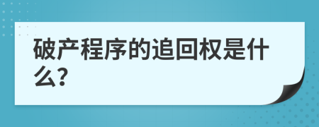 破产程序的追回权是什么？