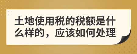 土地使用税的税额是什么样的，应该如何处理