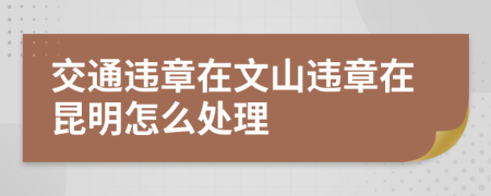 交通违章在文山违章在昆明怎么处理