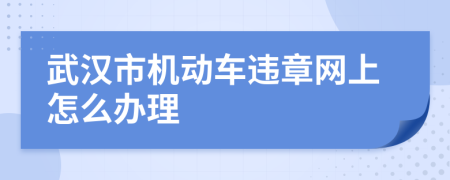 武汉市机动车违章网上怎么办理