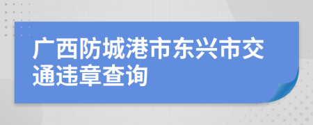 广西防城港市东兴市交通违章查询