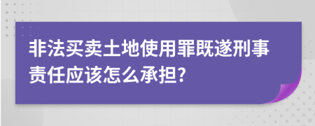 非法买卖土地使用罪既遂刑事责任应该怎么承担?