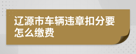 辽源市车辆违章扣分要怎么缴费